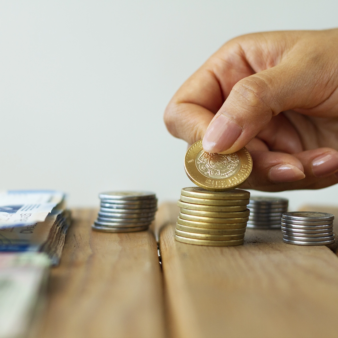 Cobro de Cartera y Procesos Ejecutivos